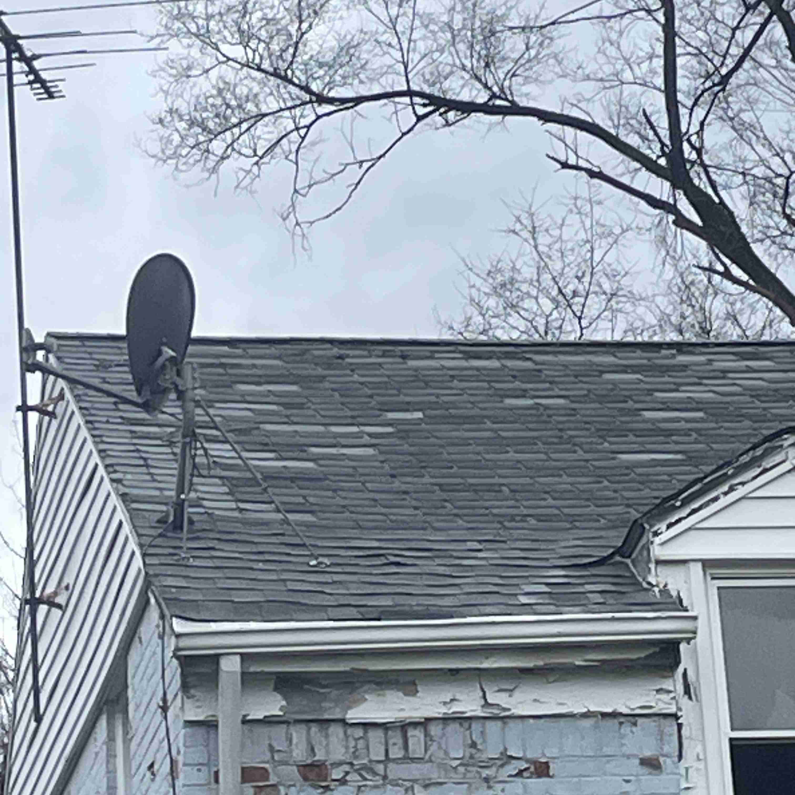 20015 Schoenherr (14).jpg